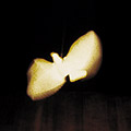 dithering revolutions (2001)