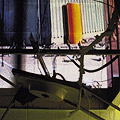 voluntary confinement (2001)
