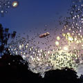 untitled, at once series (2004)
